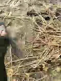 ThethunderPo webcam model stream image