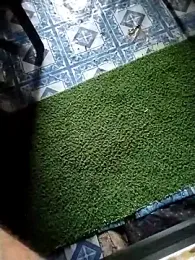 Pornboyhome@xh webcam model stream image