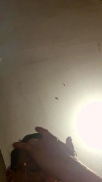 Bibalala webcam model stream image