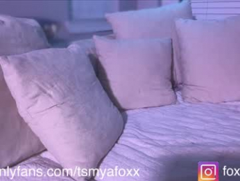 tsfoxx webcam model stream image