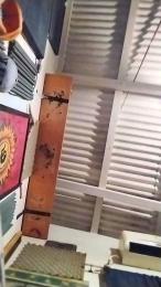 eltorotano webcam model stream image