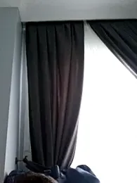 Obstacless webcam model stream image