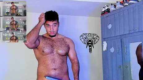 Big_furry_bear13 webcam model stream image