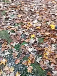 maleesa webcam model stream image