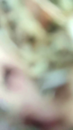 gutig_14 webcam model stream image