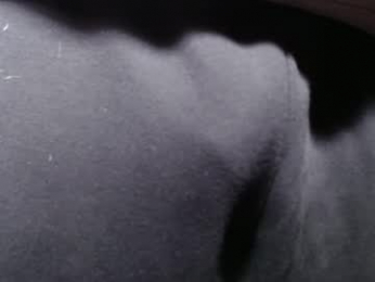 bigdickdaddy567130413 webcam model stream image