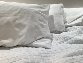 shysashy webcam model stream image