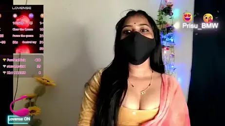 Prisu_BMW webcam model stream image