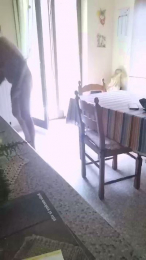 sfrittola webcam model stream image