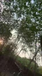 Outdoorsd webcam cam4 model stream image