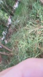 Outdoorsd webcam cam4 model stream image