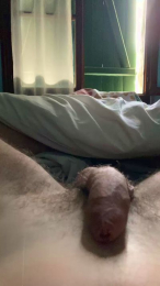 Elbabito9 webcam model stream image