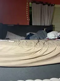 BearChubby300 webcam model stream image