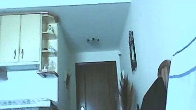 elus5 webcam model stream image