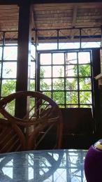 givanasandwich webcam model stream image