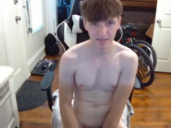 pandapen webcam model stream image