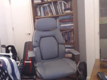 sheepishlion webcam model stream image