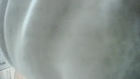 LiONTURK webcam model stream image