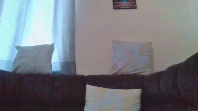 Swt_cull webcam model stream image