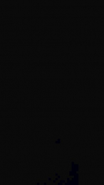 Bella_Baby24 webcam model stream image