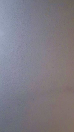 Bella_Baby24 webcam model stream image