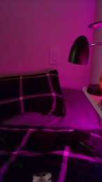 El_Gizmo webcam model stream image
