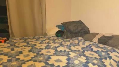 RawAlphaPups webcam model stream image