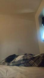 DanWillShock webcam model stream image