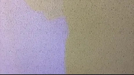 Leaf_Unto webcam model stream image