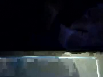 12curty webcam model stream image