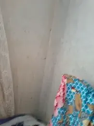 novinhatransexy webcam model stream image