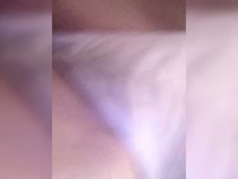 OLHA-3 webcam model stream image