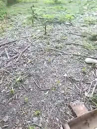 KathaDanger webcam model stream image