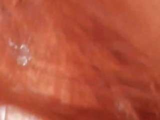 silverdyer webcam model stream image