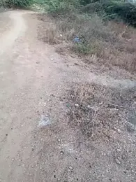 Ajith_mvi webcam model stream image