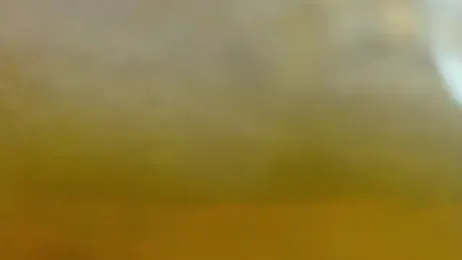 Adam_Hudsond webcam stripchat model stream image