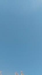 aaaalamastela webcam cam4 model stream image