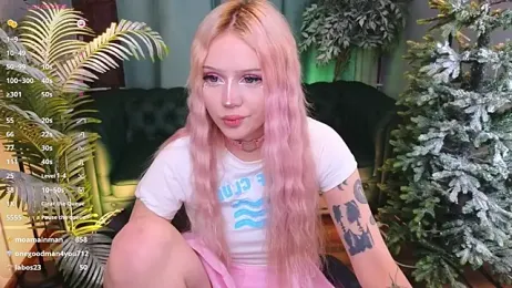 kitten_murray_ webcam model stream image