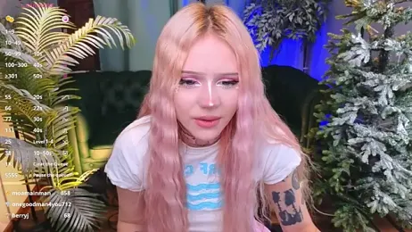 kitten_murray_ webcam model stream image