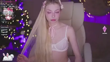 EviStar webcam model stream image