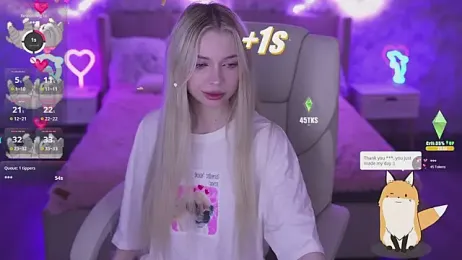 EviStar webcam model stream image