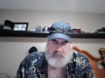 straightbear4you webcam model stream image