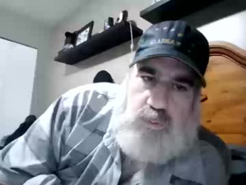 straightbear4you webcam model stream image