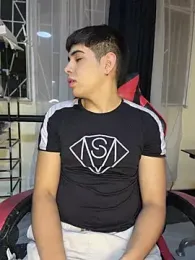 Johan_fire webcam model stream image
