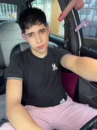 Johan_fire webcam model stream image