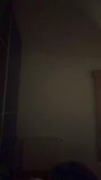 Givity webcam model stream image