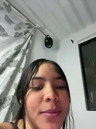 STITCHyLILO webcam model stream image