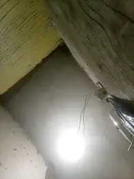 Bebicho14 webcam model stream image