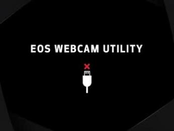 allysonfreeman21 webcam model stream image