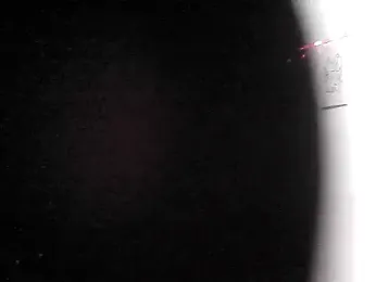 ShareeBax_ webcam model stream image